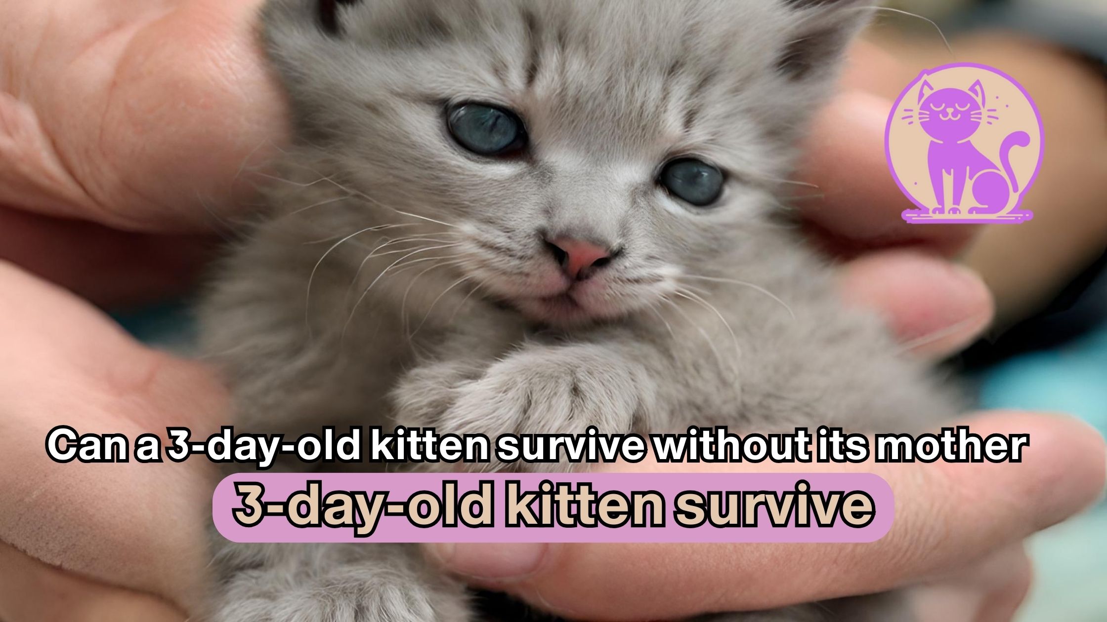 Can a 3-day-old kitten survive without its mother