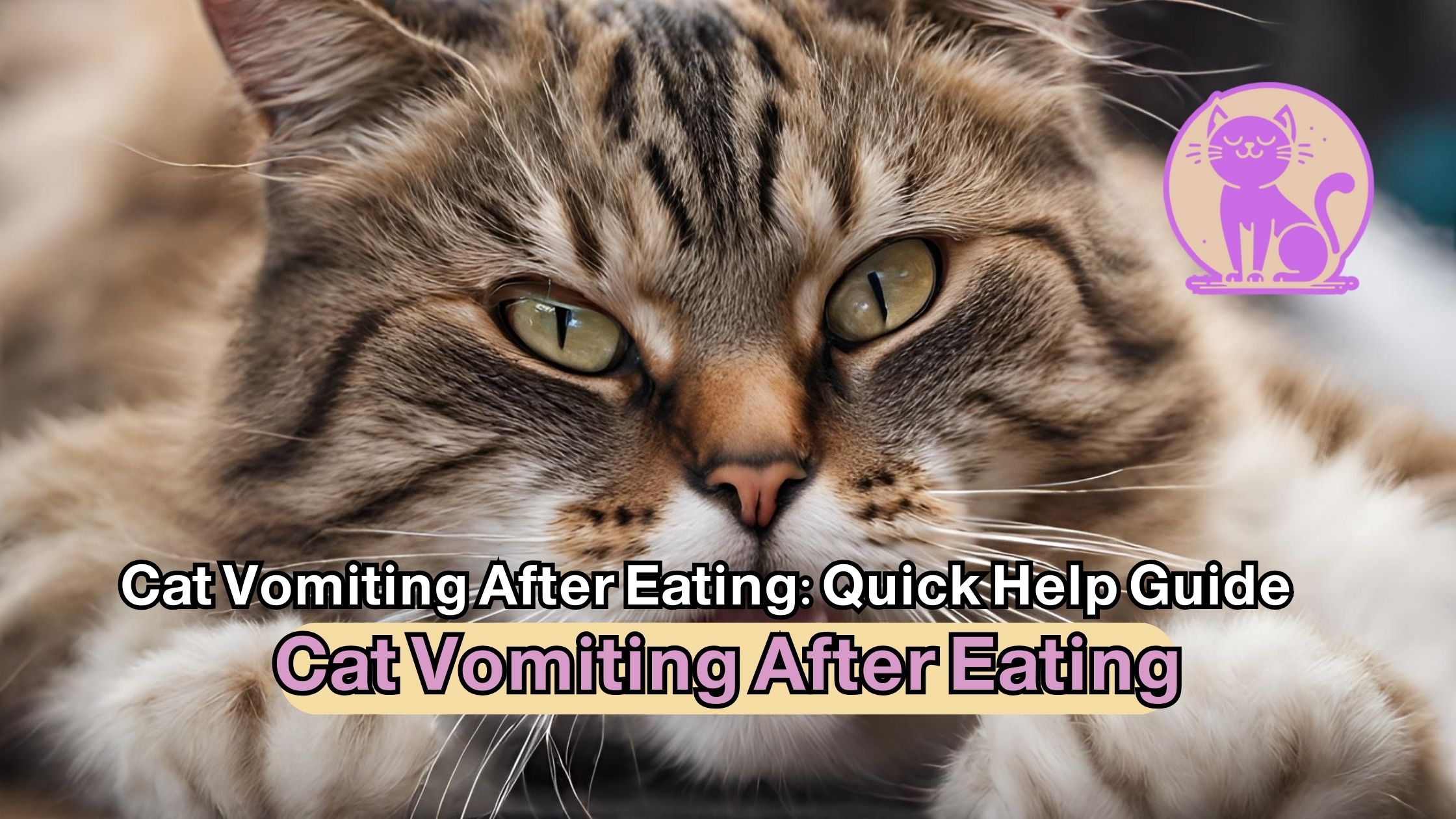 Cat Vomiting After Eating