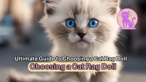 Ultimate Guide to Choosing a Cat Rag Doll